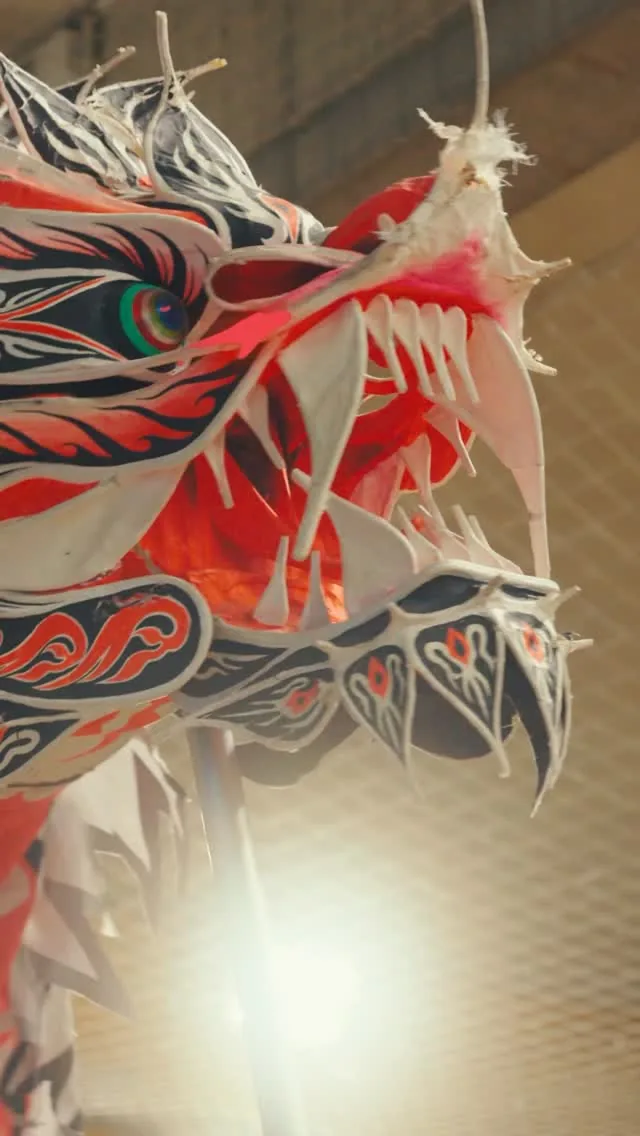 Tête de dragon — spectacle danse du dragon